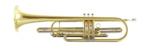 Trompetas Bajas